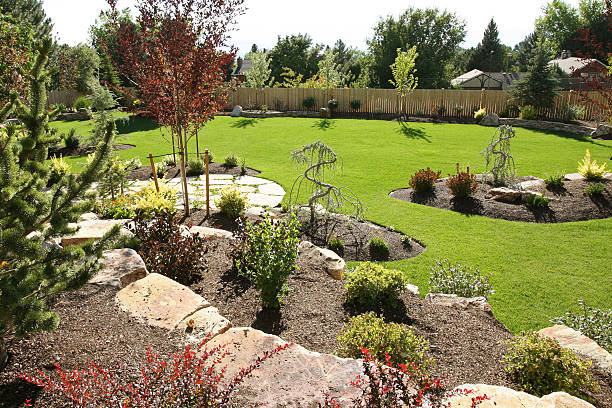 Beautifully designed backyard xeriscape garden with diverse plantings including shrubs and trees, decorative stone features, organized layout zones separated by vegetation and rockwork, wooden fence perimeter, with house visible in background