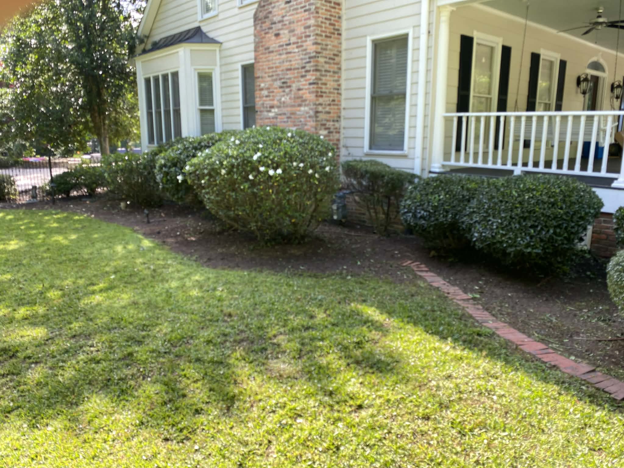 Home with trimmed flowering shrubs