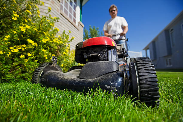 Weekly lawn mowing service with red mower on green grass
