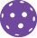 Pickleball Icon