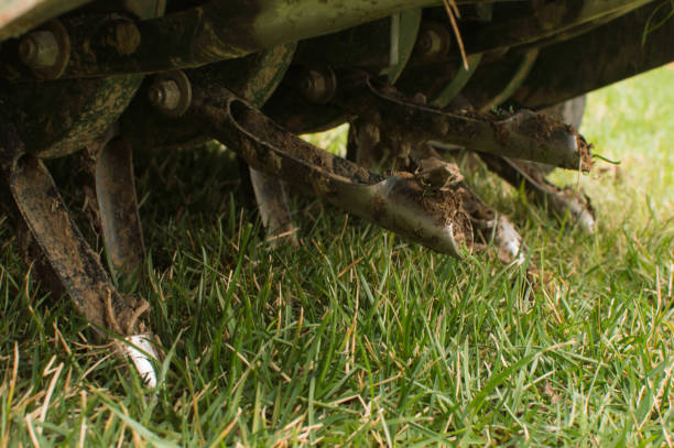 Metal core aerator tines with soil residue resting on lush green lawn during professional core aeration service