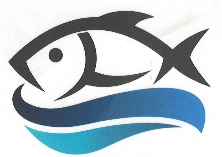 Nasser Bin Said Logo
