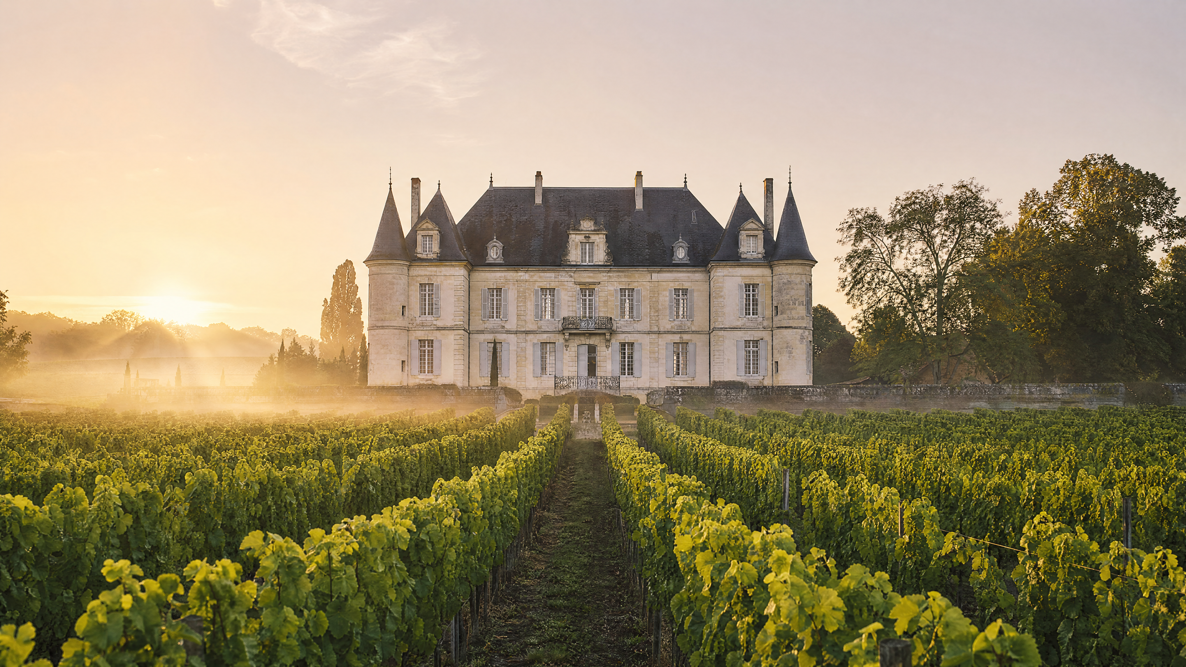 French Vineyard Estate in Champagne