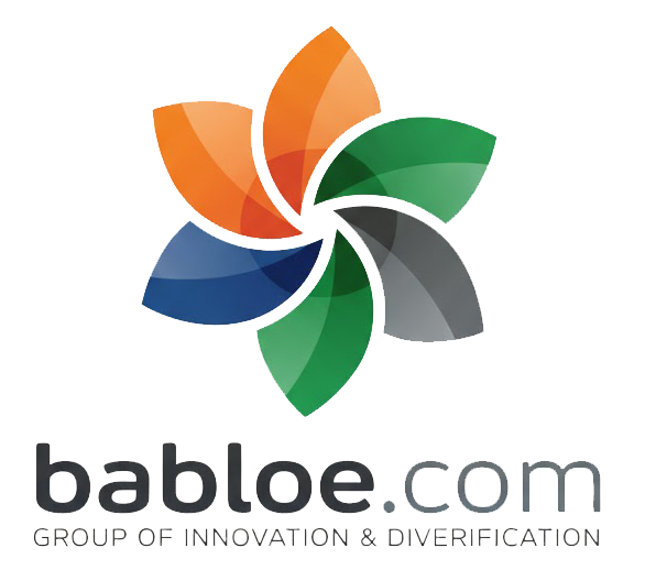 Logo Babloe.com Group of Innovation & Diversification
