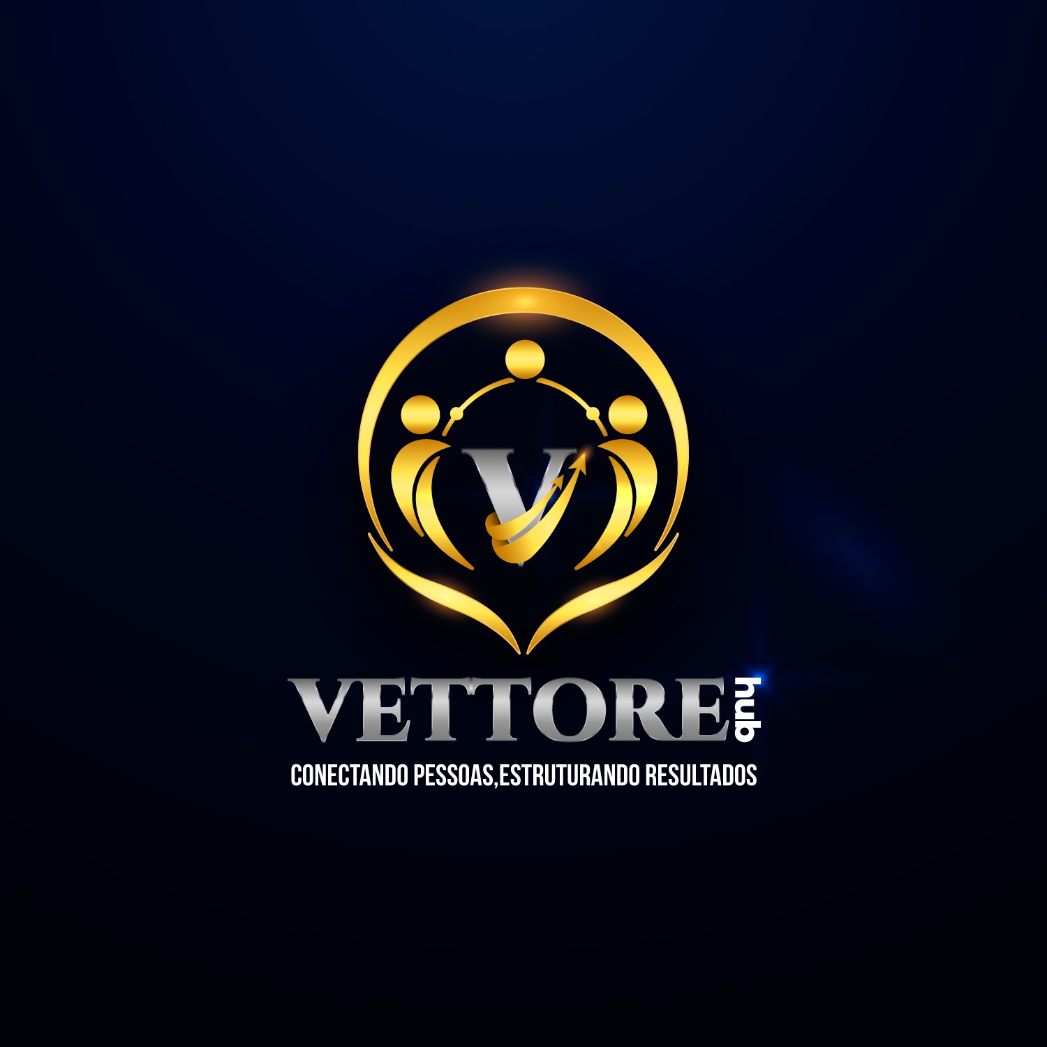 Vettore hub