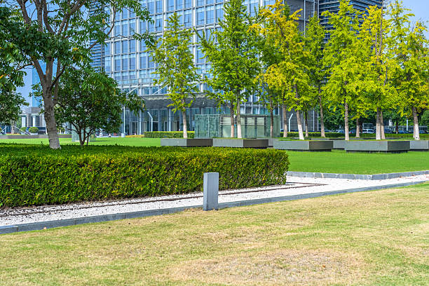 Modern glass curtain wall office building with professionally maintained landscape featuring neatly trimmed green hedges, trees in planted beds with seasonal yellow-green foliage, expansive manicured lawn and stone walking paths in clean urban green space