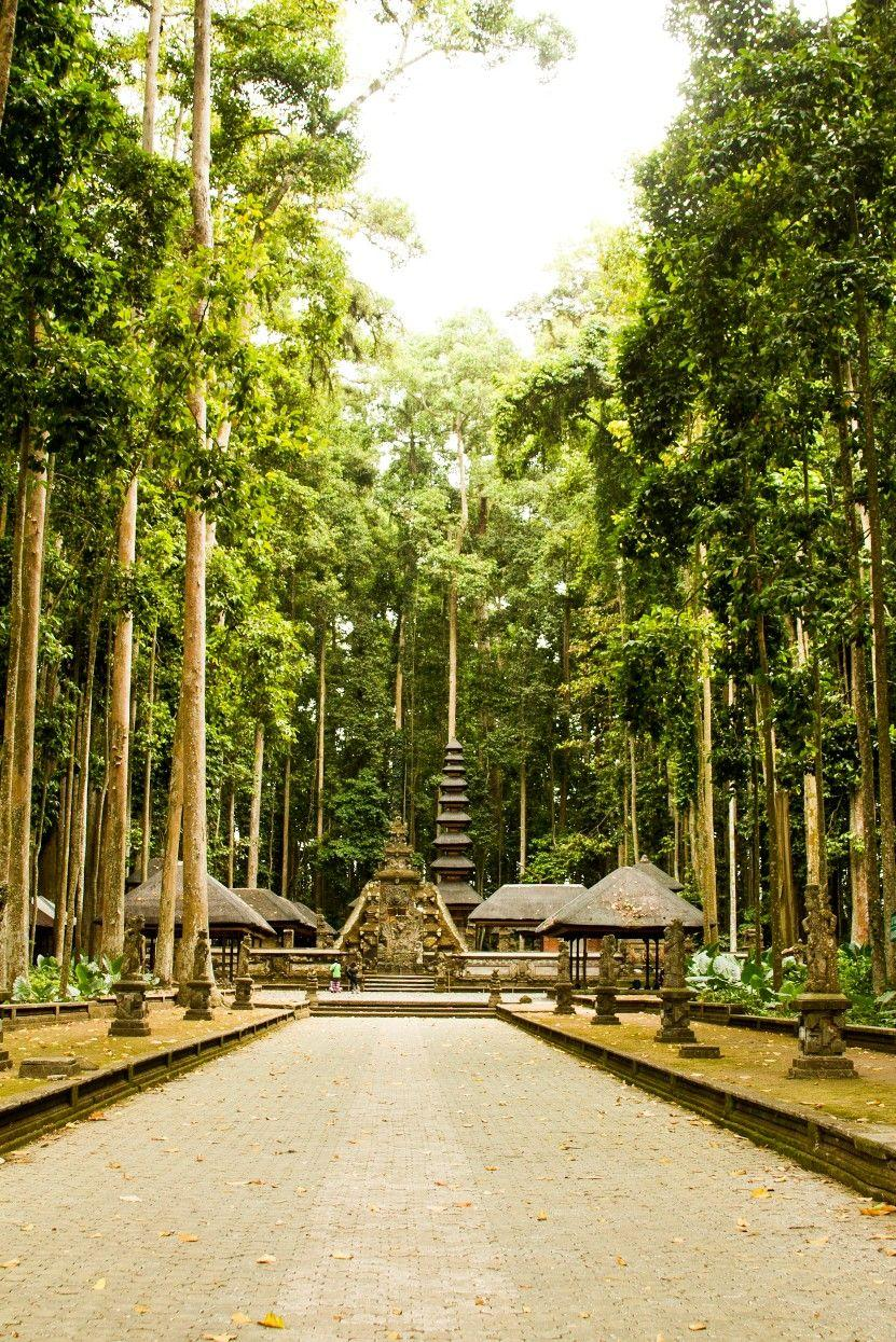 Sacred Monkey Forest