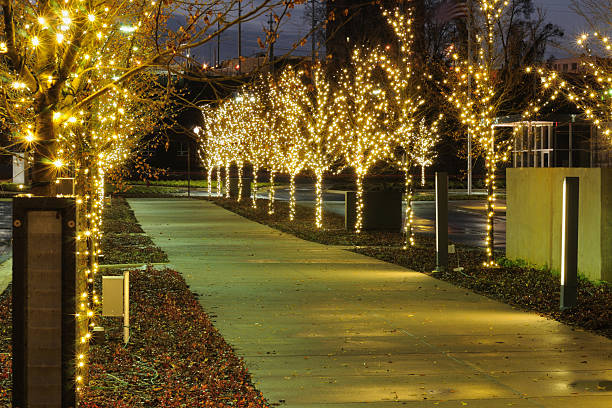 Tree uplighting installation