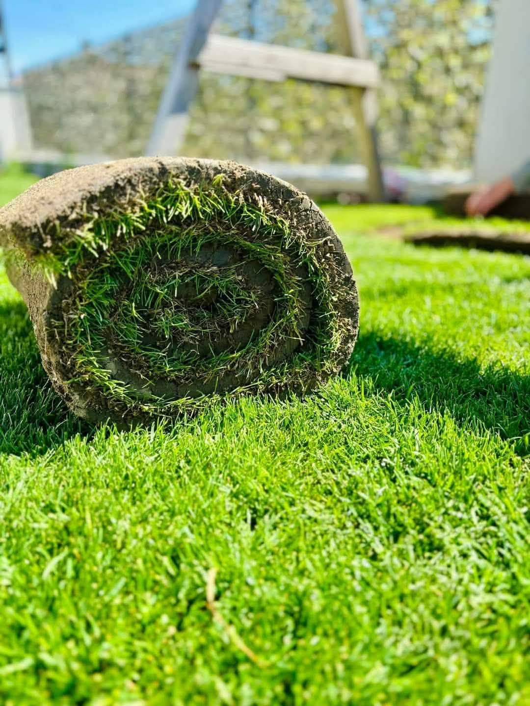 Rollrasen wird verlegt