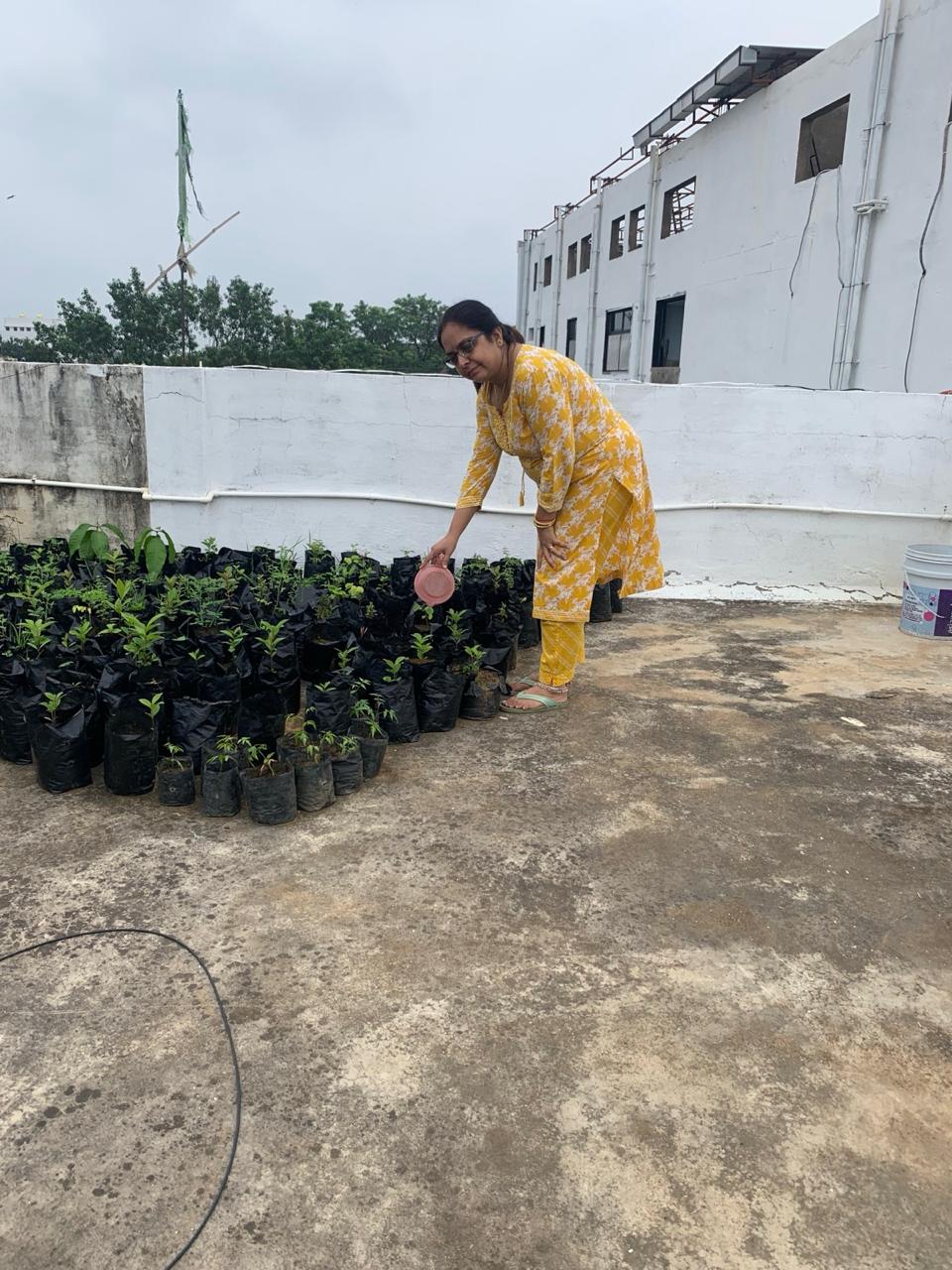 Rooftop Garden
