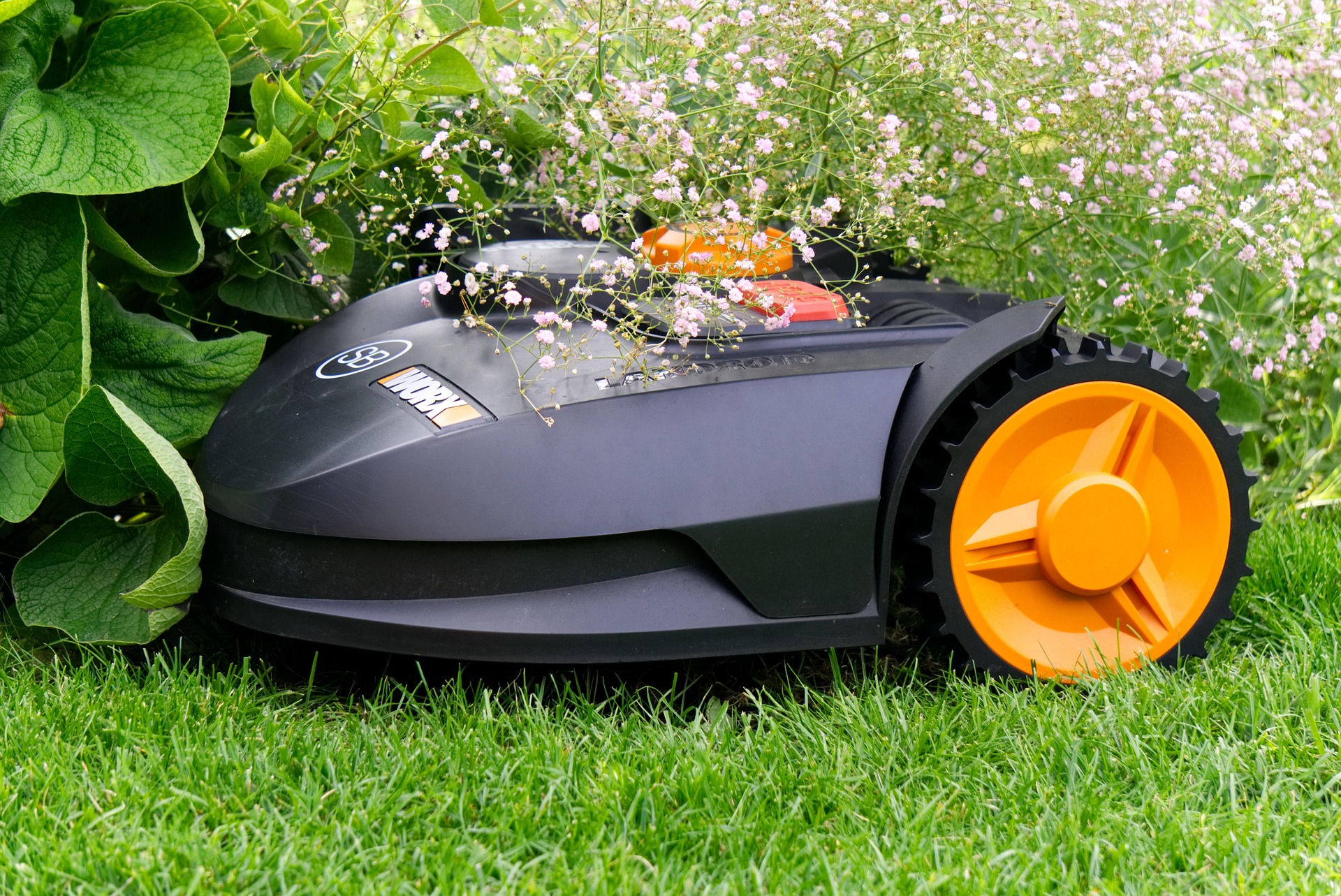 Professional landscaping equipment and maintained garden beds showcasing full-service landscape maintenance results