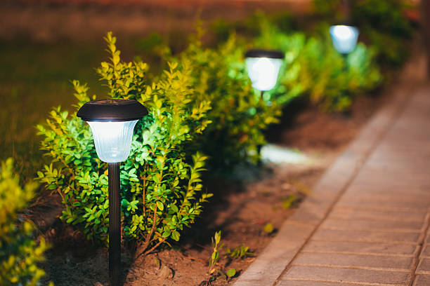 Professional pathway lighting installation