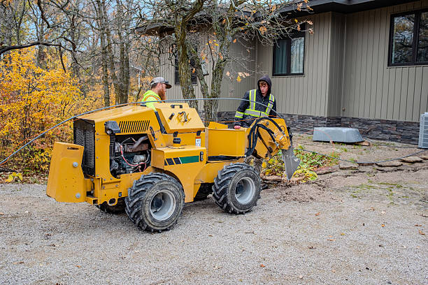 Two workers in reflective vests operating yellow stump grinding machine next to light-colored house with fall trees and gravel ground, demonstrating compact stump grinding in tight access residential yard