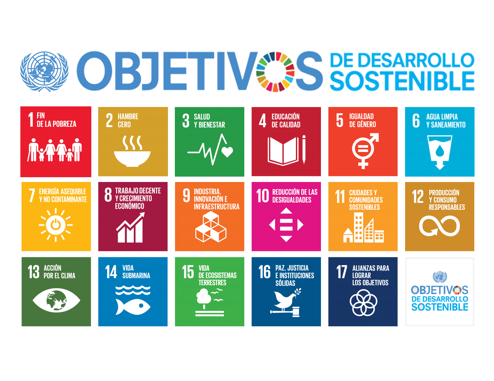 Objetivos de Desarrollo Sostenible ONU