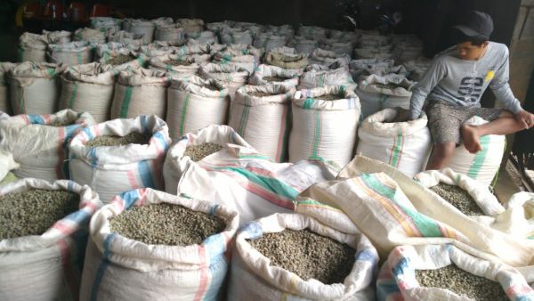 Stok Gudang
