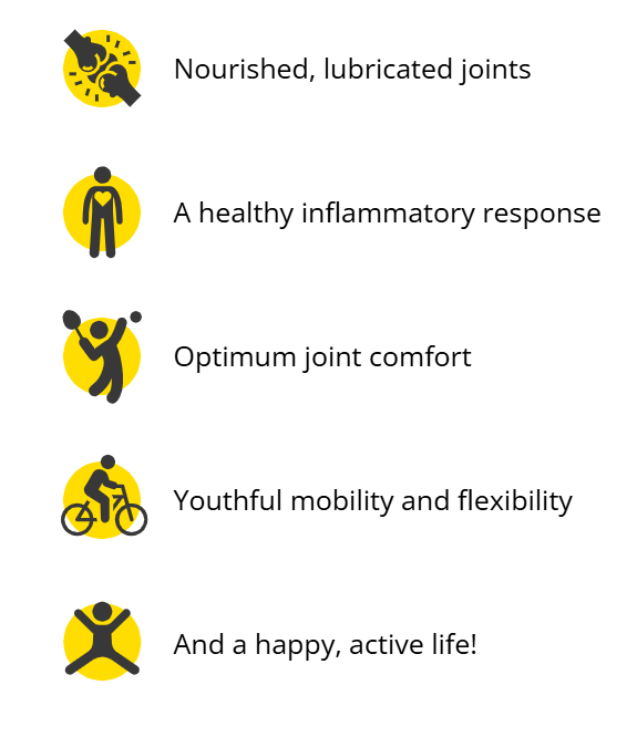 BioDynamix's visual list of five joint-health benefits: nourished joints, healthy inflammatory response, optimum joint comfort, youthful mobility, and a happy active life