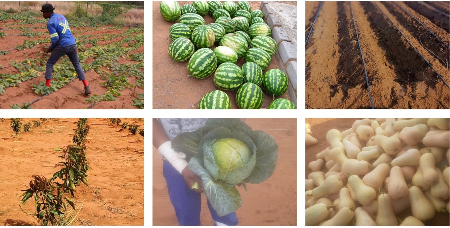 Agriculture