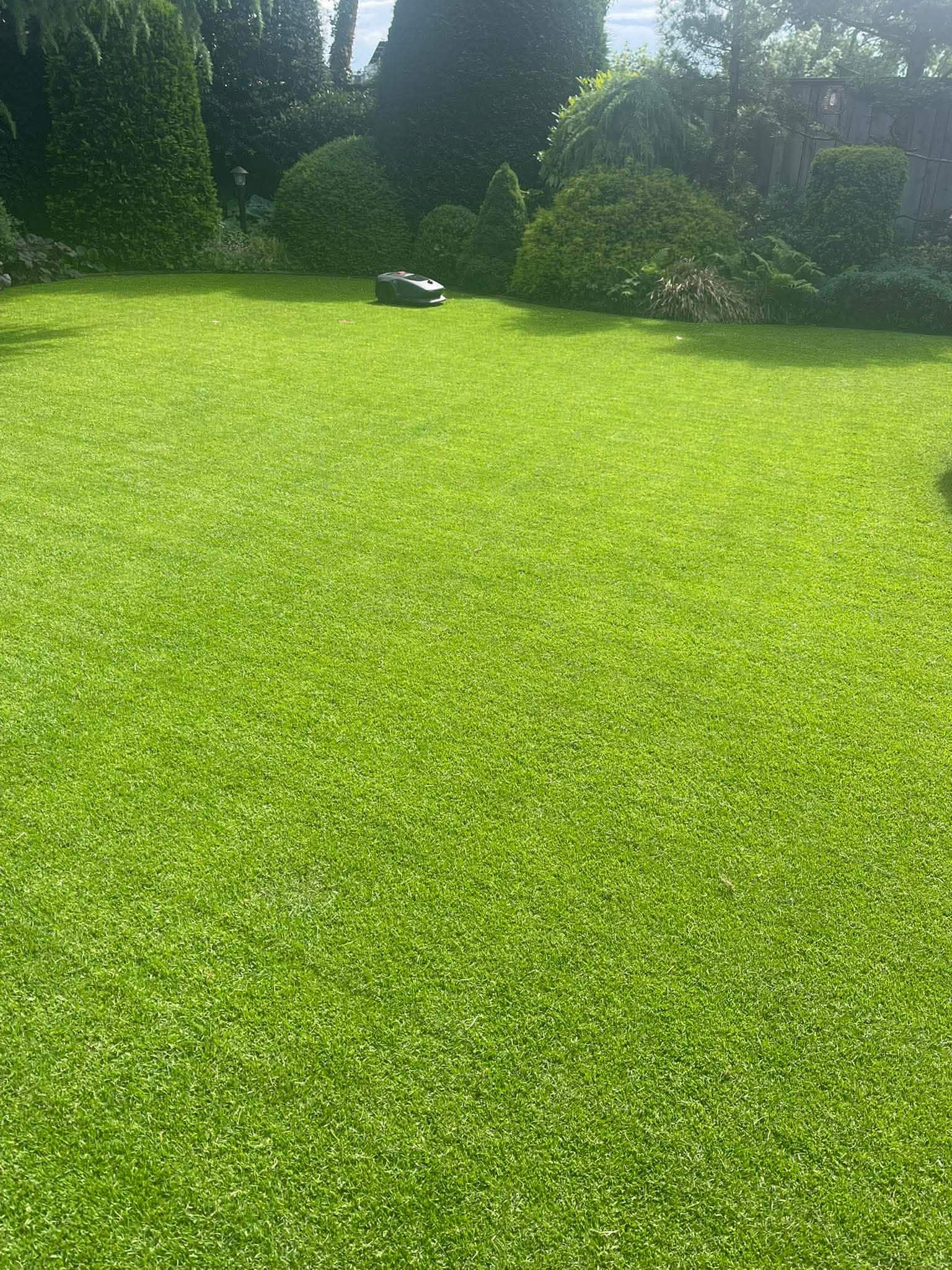Rasen mit Rasenmäher