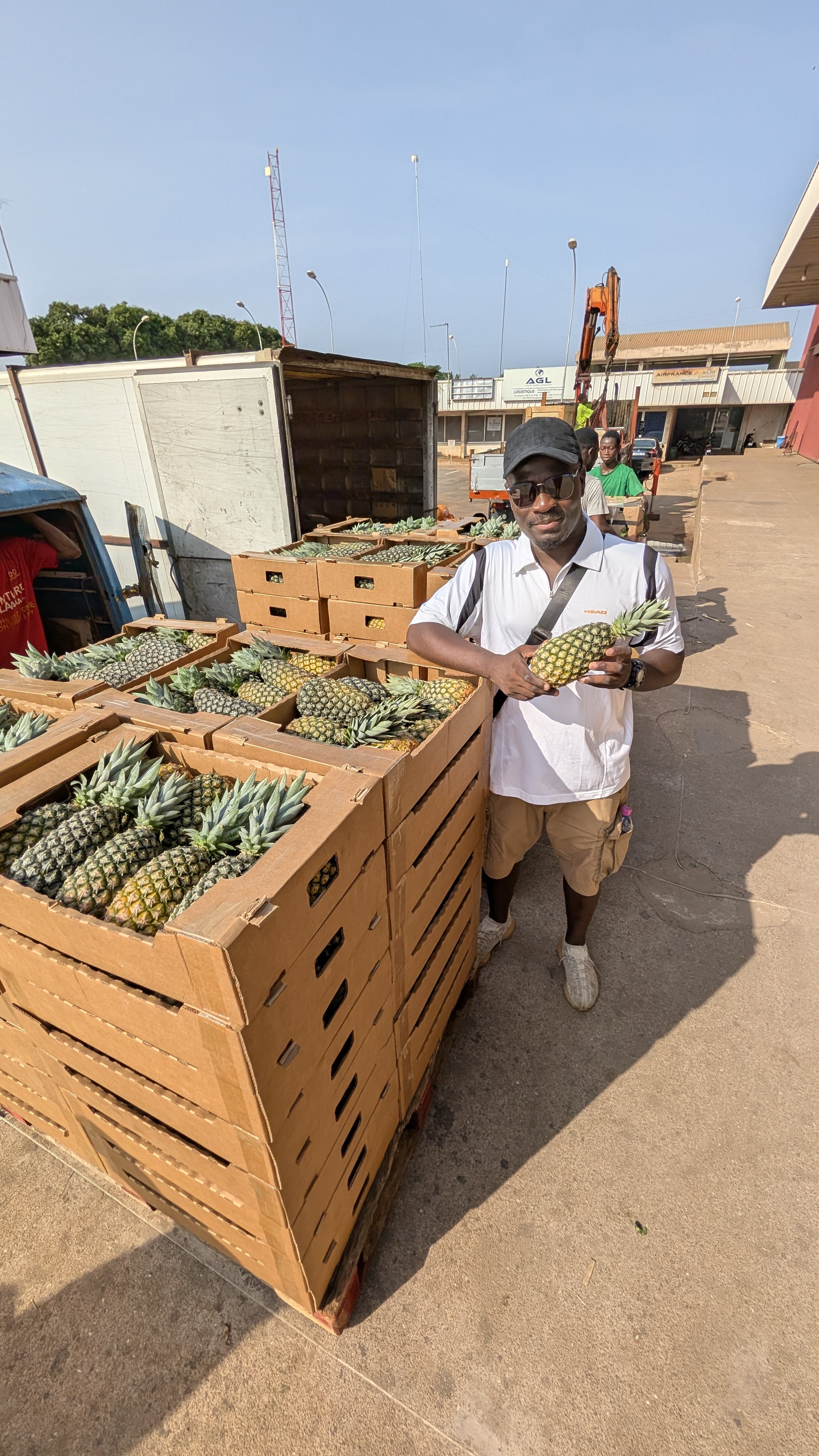 Logistique et expédition de l'ananas