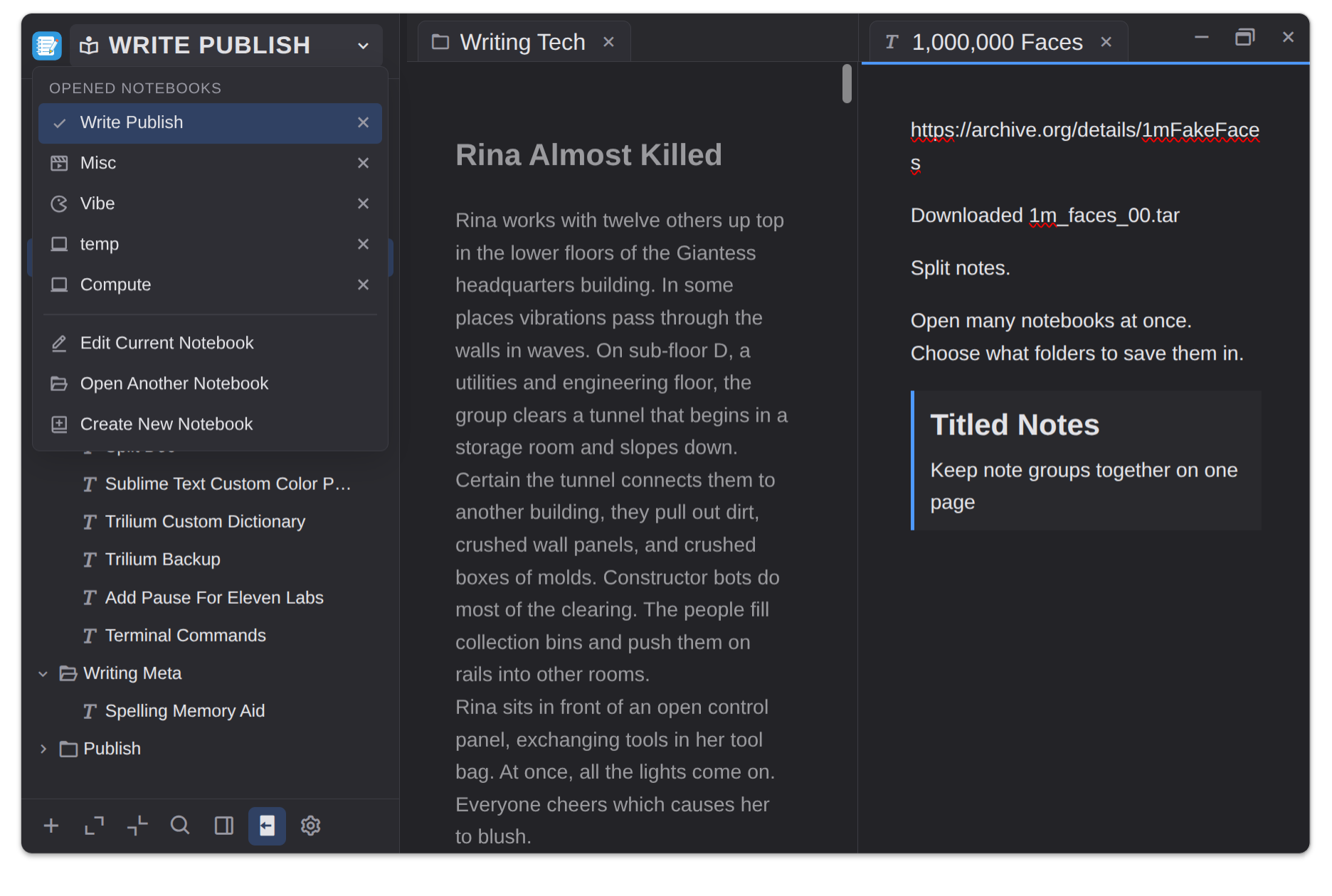 In20xx Notes with multiple notes open in tabs, including a note titled Rina Almost Killed and another titled 1,000,000 Faces