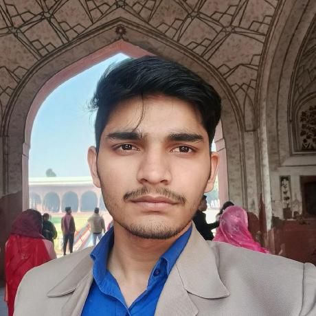 Abhinav — Software Developer