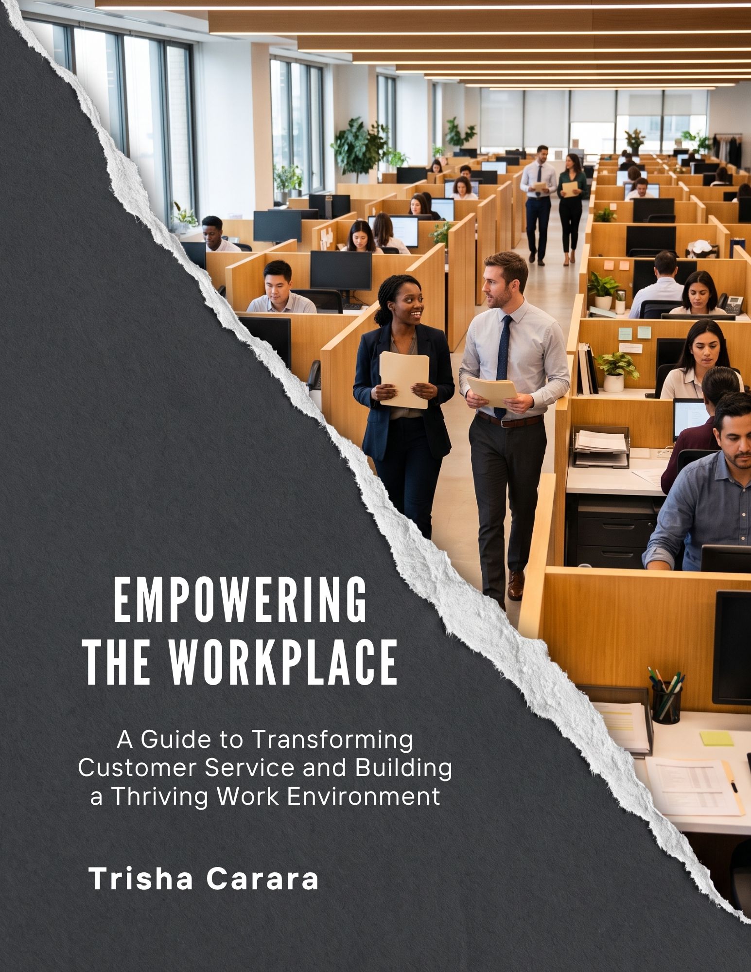Empowering the Workplace book cover
