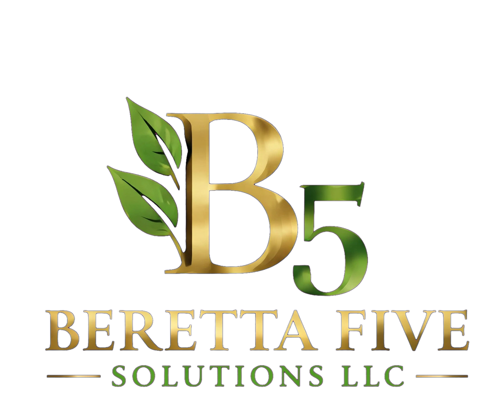 Beretta Five Solutions LLC