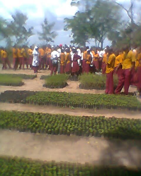 Wanafunzi Kitaluni