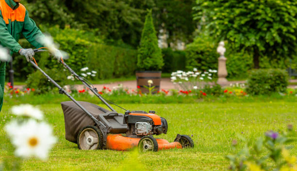 Professional landscaper operating gas lawn mower on manicured garden with flower beds and sculpted trees