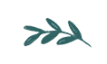 Plant Icon