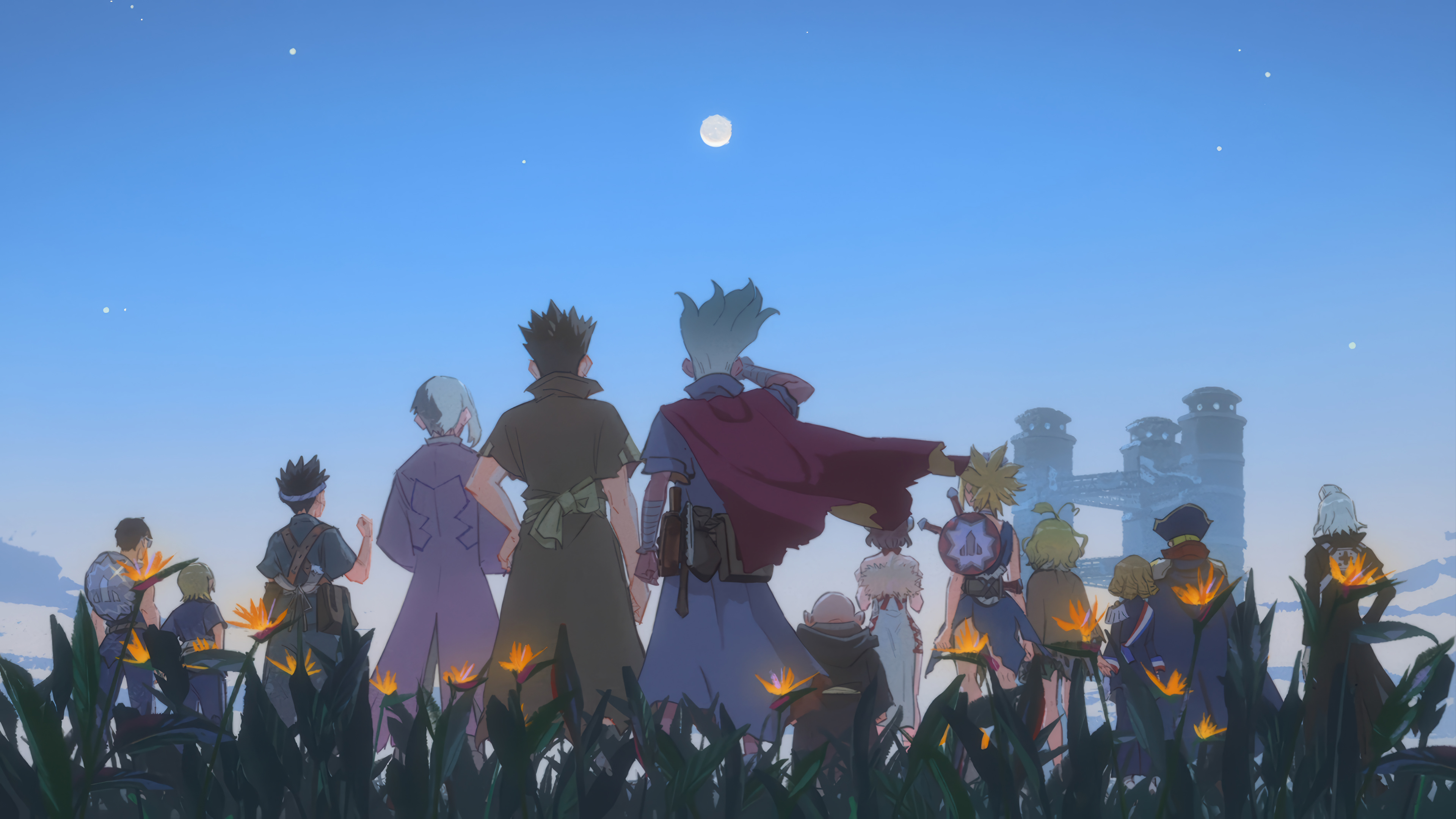 Group Flower Field Back View Anime