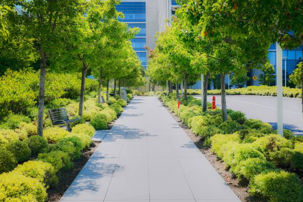Patios, Walkways, and Hardscaping - Professional walkway installation with lush landscaping
