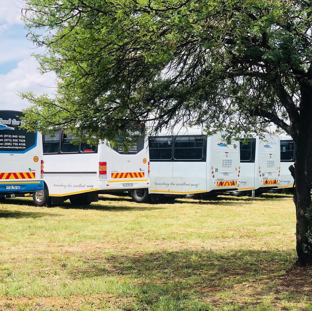 Buses on grass