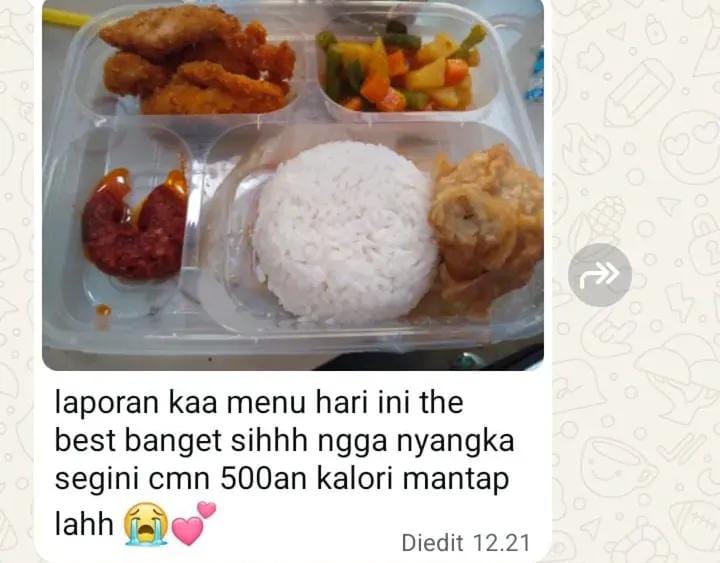 Testimoni Chat WA 6 - Menu 500 Kalori