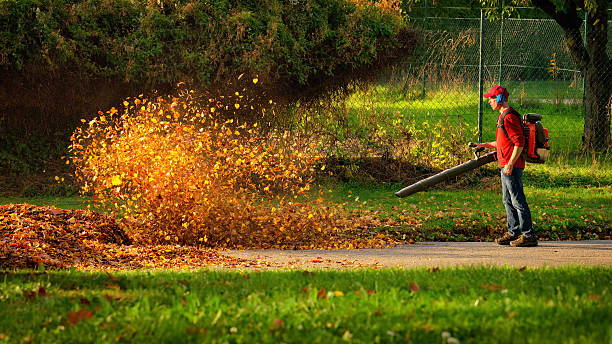 Professional worker in red shirt and red hat using leaf blower to clear golden fallen leaves from lawn with green grass trees and fence in outdoor yard cleanup scene